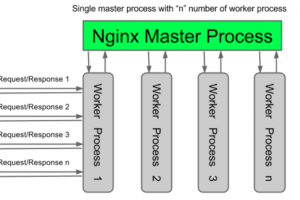 Apache vs. Nginx: Pros & Cons for WordPress