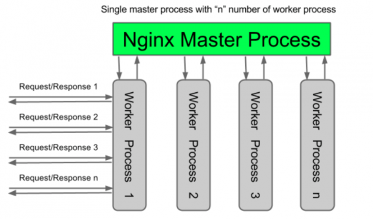 Apache vs. Nginx: Pros & Cons for WordPress