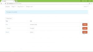 Laravel pages