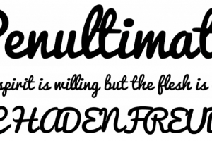 modern handwritten font pacifico