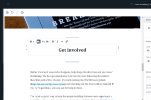 gutenbergInAction min