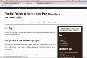 Plugin Projects