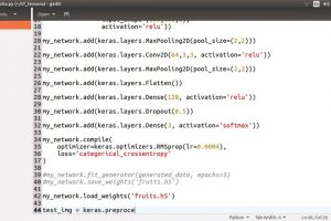 Training and Using a Convolutional Network
