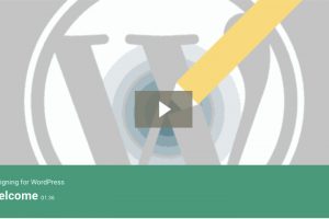 Designing for WordPress