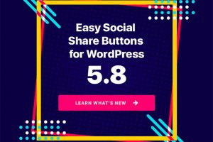 EasySocialShareButtonsforWordPresscopy
