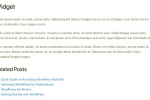 relatedpostslistinfrontend