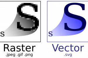 webp svg vs everyone vector raster
