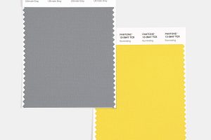 swcd tcx color of the year ultimate gray illuminating