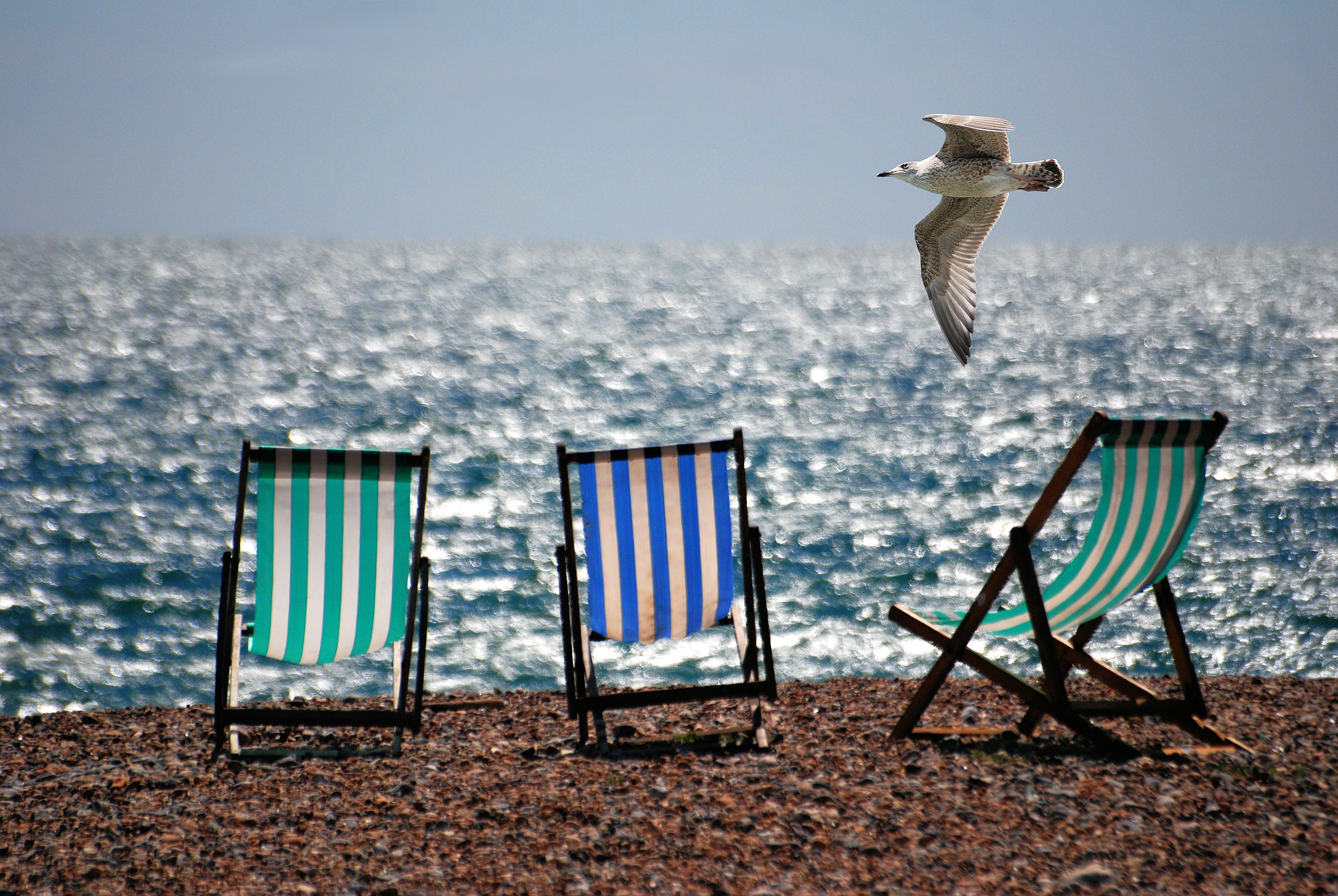 summer stock photos deck chairs