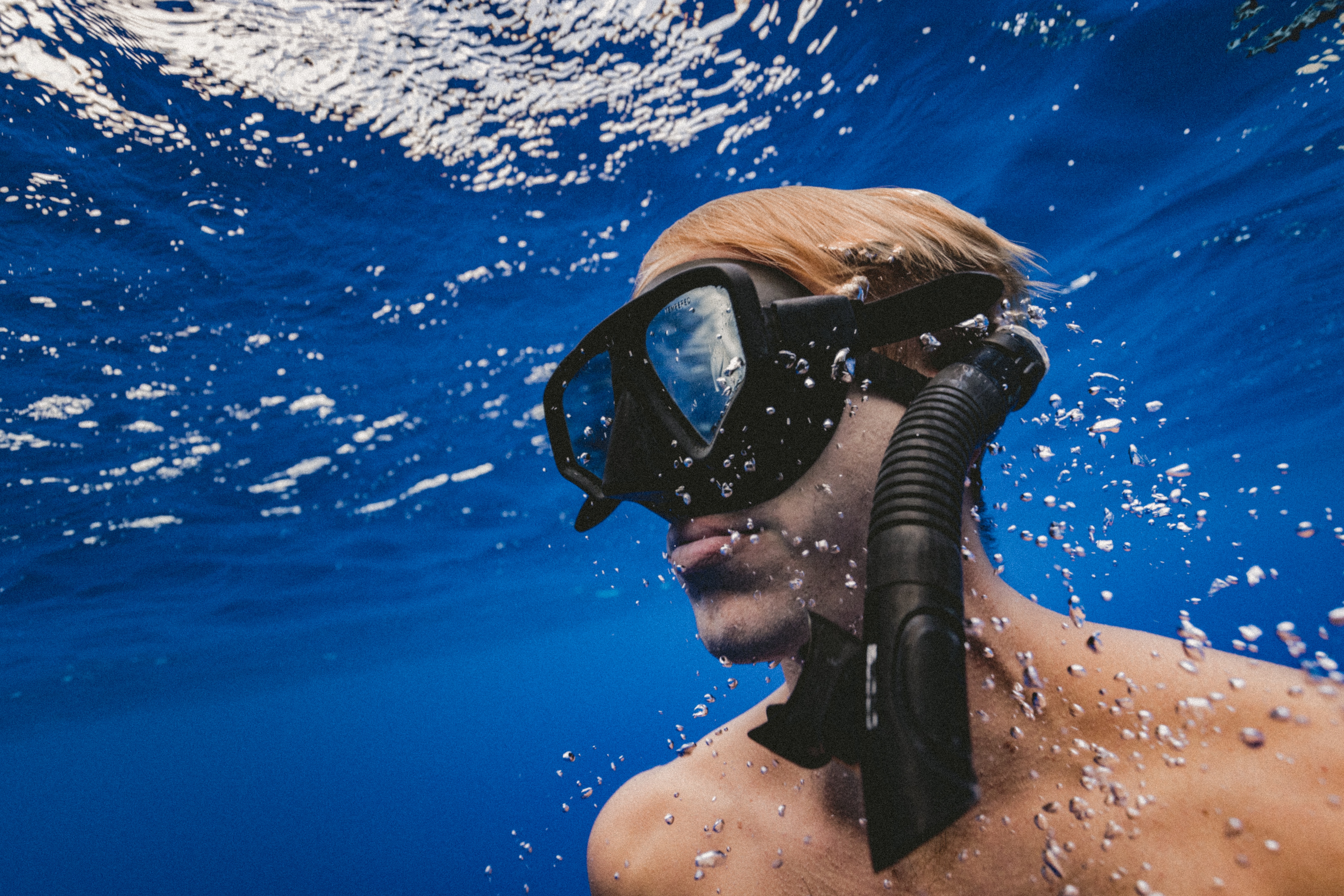 summer stock photos diver