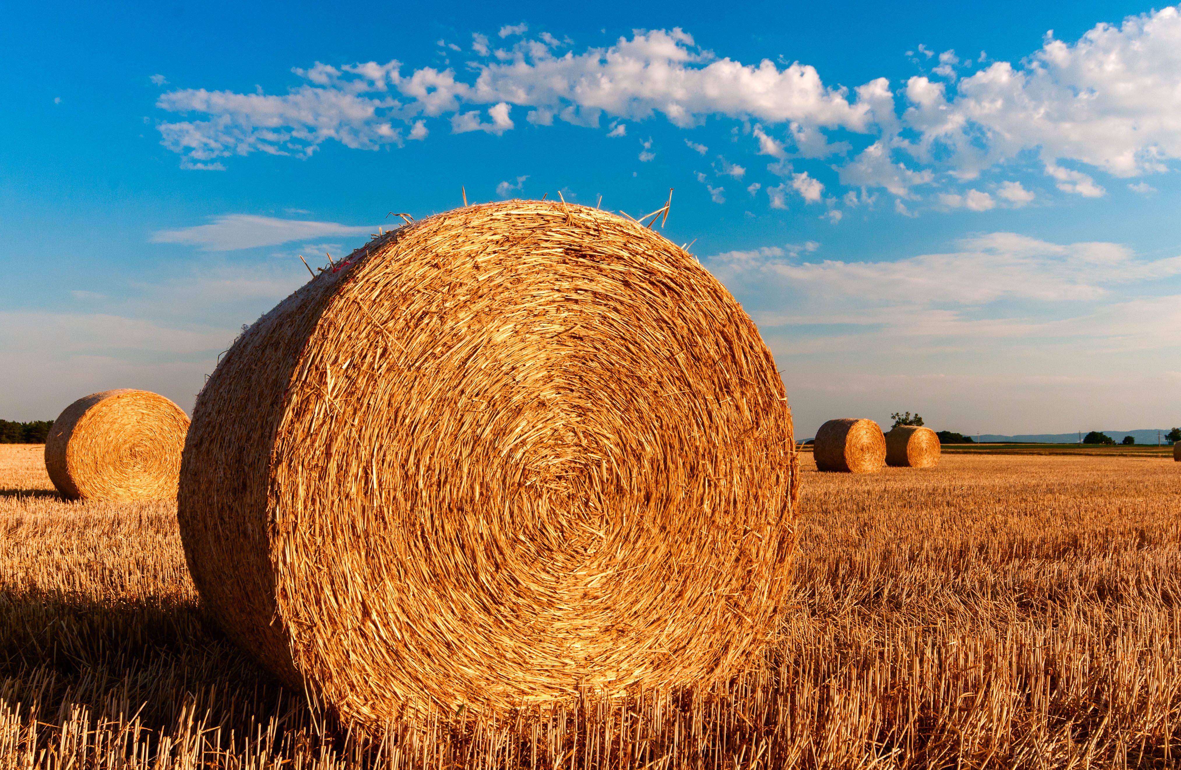 summer stock photos hay bales