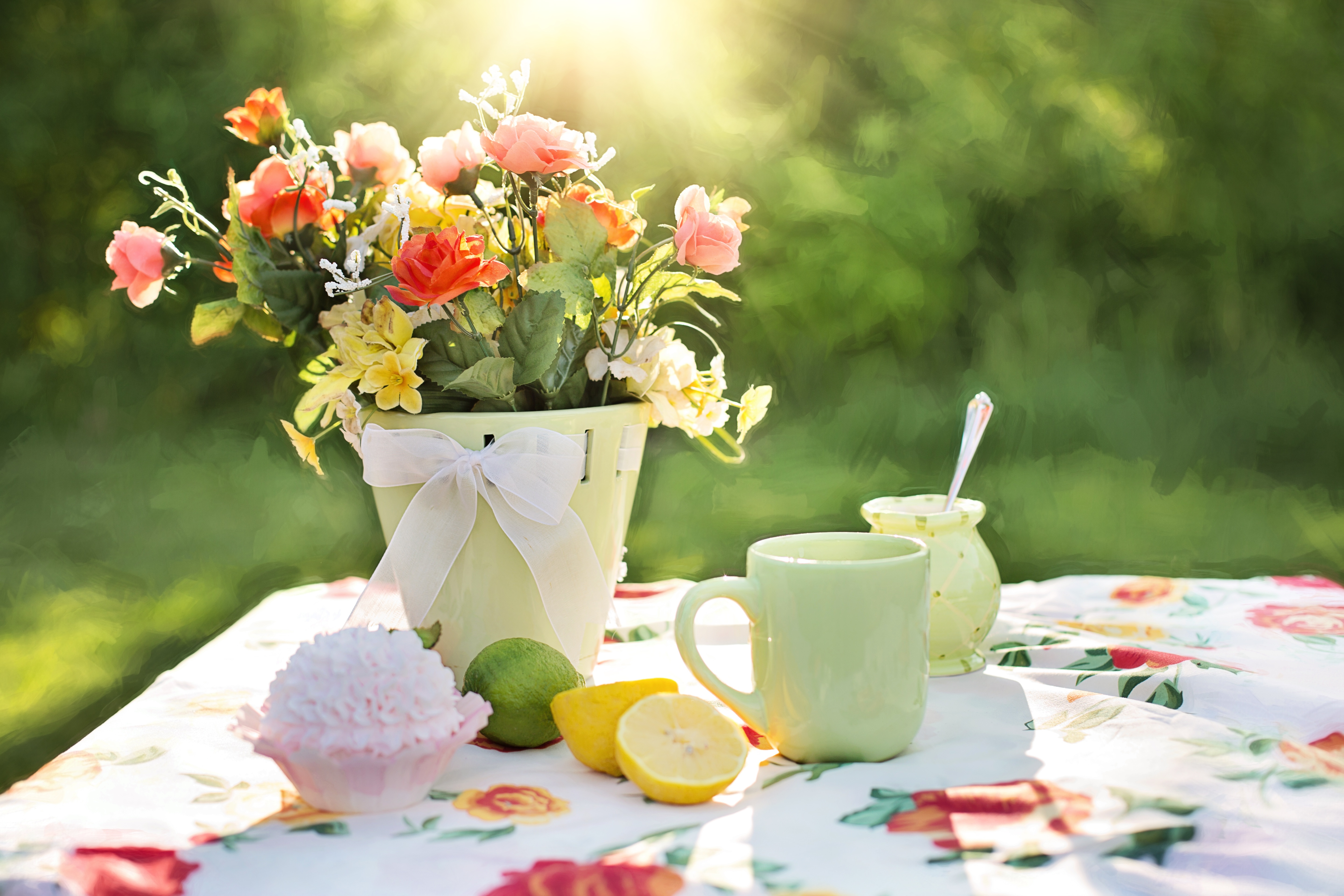 summer stock photos still life