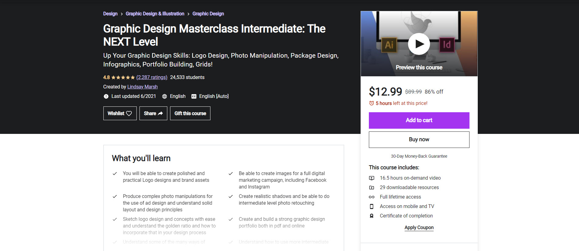 udemy masterclass intermediate