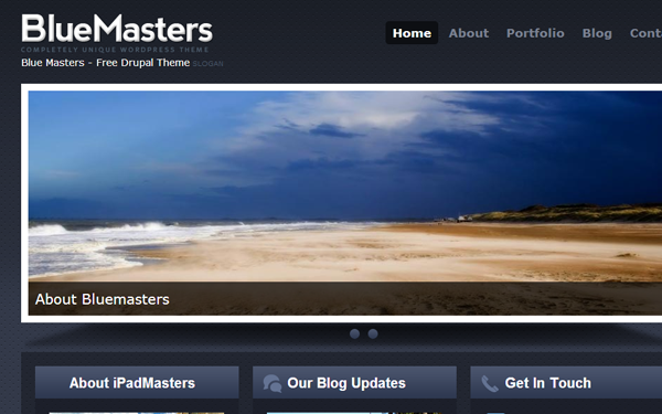 BlueMasters Drupal freebie download theme template display