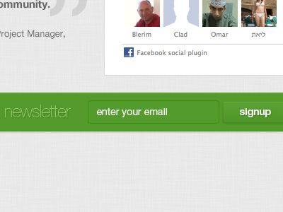 Green Website ui newsletter signup form