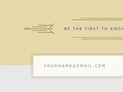 Grey Tan minimalist website signup form interface