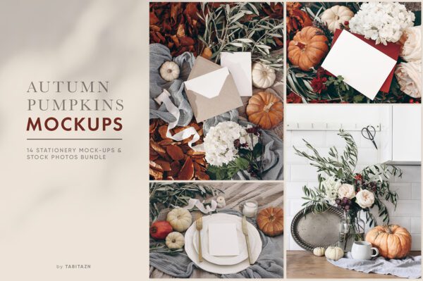 Autumn Pumpkins Stationery Mockups & Photo Set 