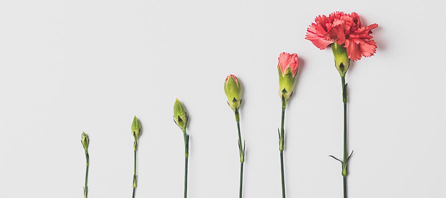 It's possible to have both growth and stability in your design business.