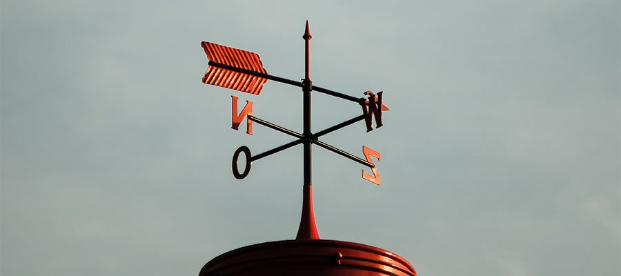 Choose a direction that fits your personality and goals.