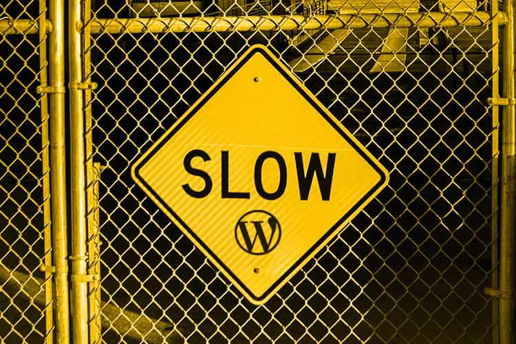 What's Slowing Down Your WordPress Website