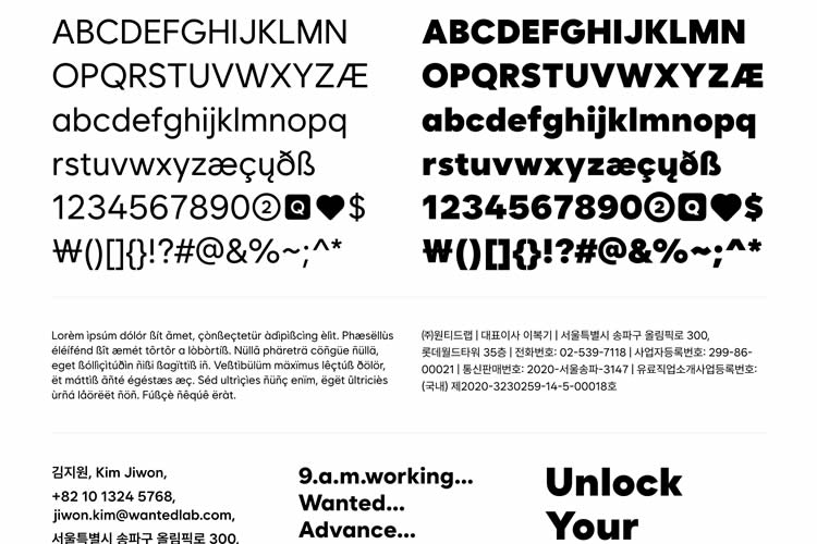 Wanted Sans Free Font