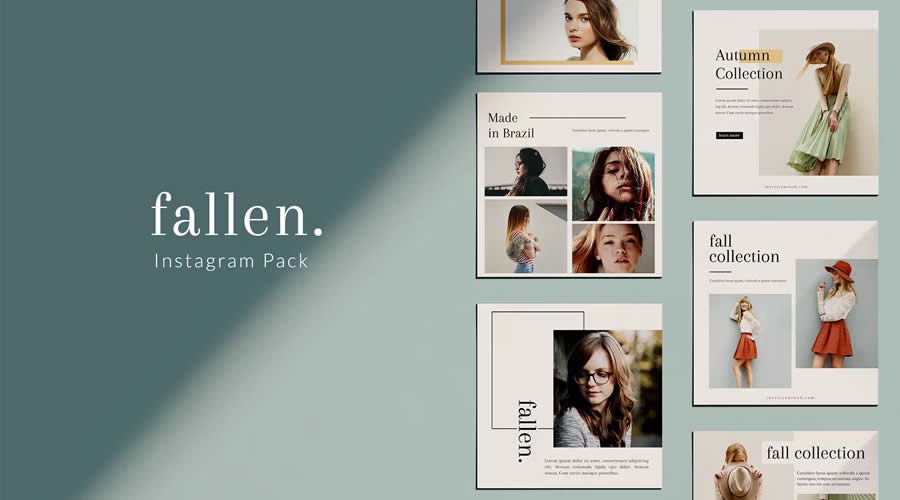 Minimal Fallen Phtooshop PSD Instagram Story Template Social Media