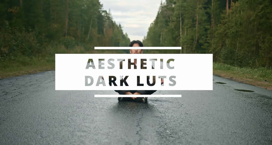 Aesthetic Dark DaVinci Resolve LUTs Look-Up Tables