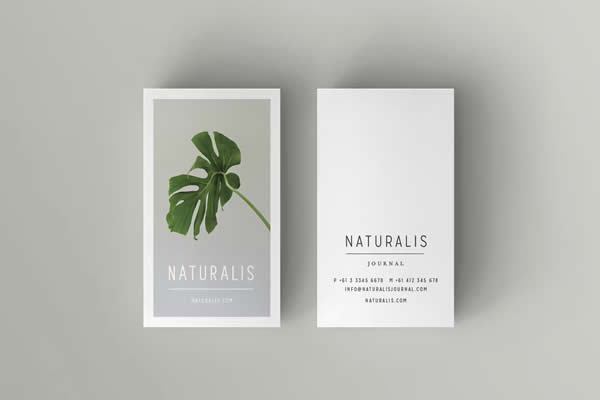 Naturalis InDesign Business Card Template INDD