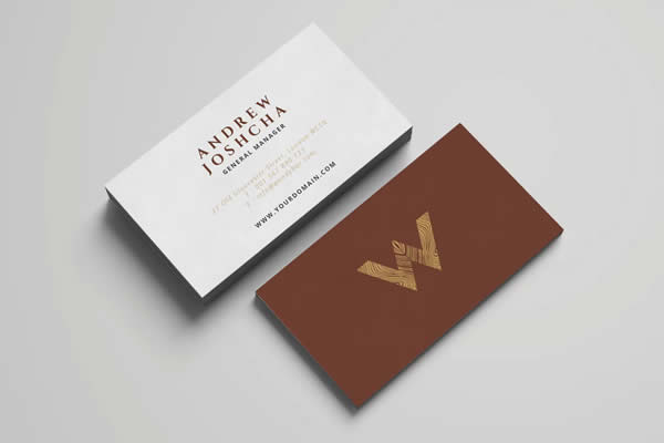 Corporate InDesign Business Card Template INDD