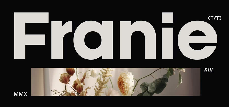 Franie Geometric Sans-Serif Heavy Bold Typeface Font Family