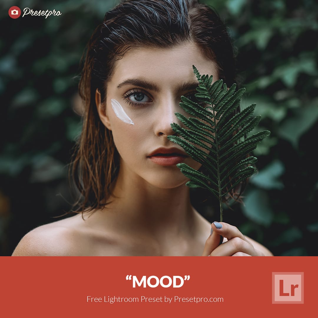 A collection of stunning portrait photography edited with various Lightroom presets, showcasing diverse styles and colors.