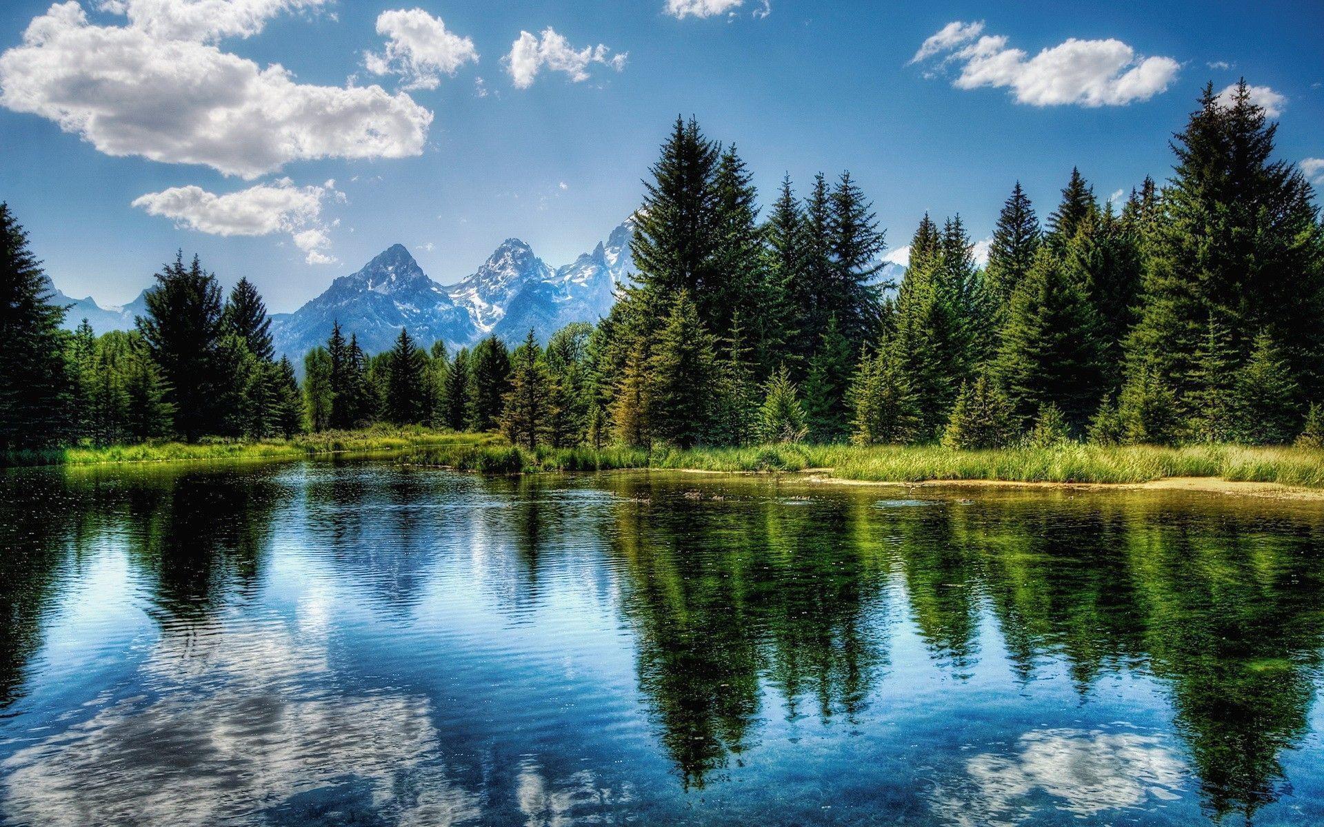 A peaceful landscape with a green valley, a stream, and deer grazing under a blue sky.