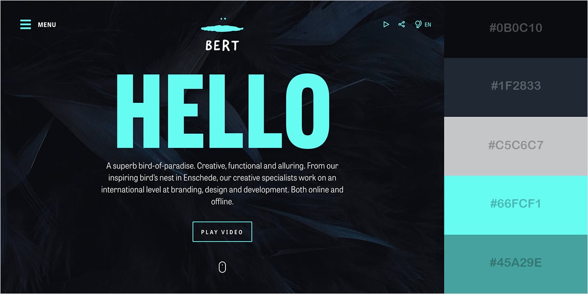 Visual representation of various color schemes used in web design showcasing psychological impact and branding.