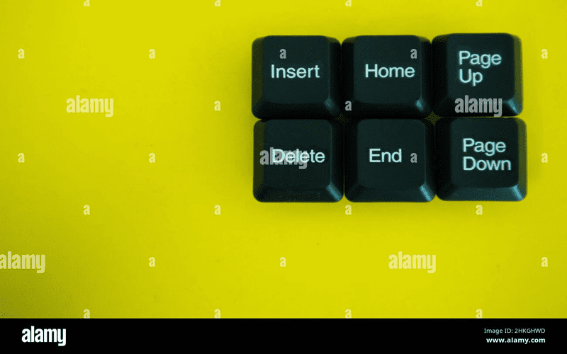 Illustration of diverse individuals using accessible web design on devices, showcasing inclusivity and usability for people with disabilities.