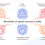 Local Open-Source AI Models and Their Unrecognized Potential