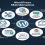 Client WordPress Website: 5 Key Insights for Better Management