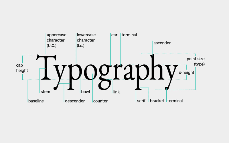 A collection of web design elements showcasing modern layouts, typography, color palettes, and user interface components for beginners.