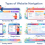 Web Design Essentials: Create User-Friendly & Aesthetic Sites