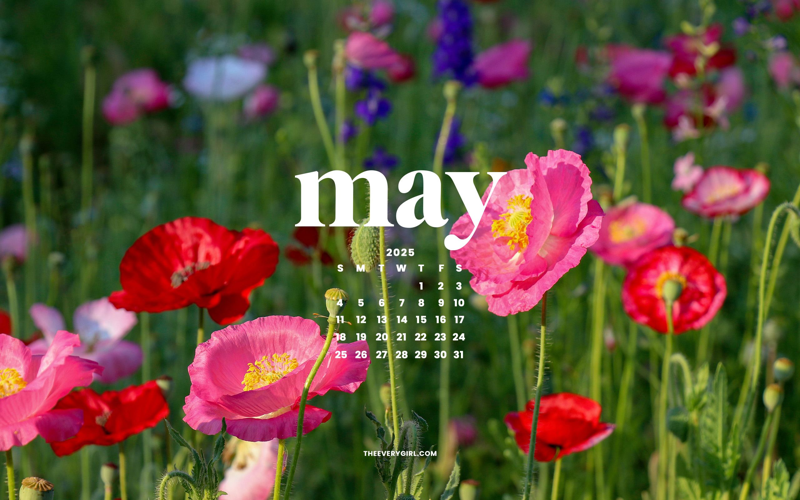 Abstract composition representing the freshness of May with blooming flowers, vibrant shapes, and soft colors.