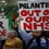 Palantir NHS Contract Under Fire: Are There Better Alternatives?